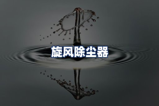 旋风除尘器